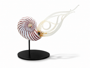Nautilus LG (red and white)
