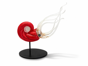 Nautilus Lg (red)