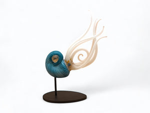Nautilus