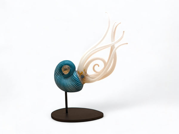 Nautilus