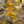 Beecline each section sold separately (5 or 7 Honeycomb section)