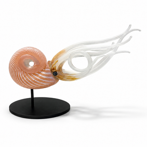 Coral Nautilus glass sculpture with a coral-colored spiral shell and long, curling white tentacles on a black circular display stand.