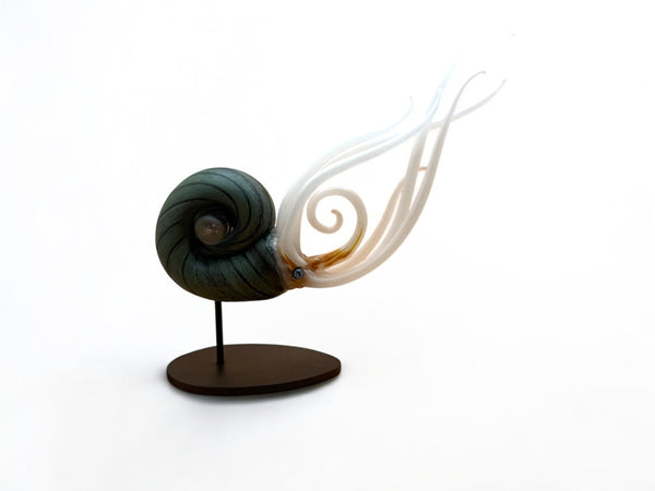 Nautilus