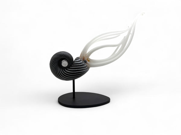 Nautilus