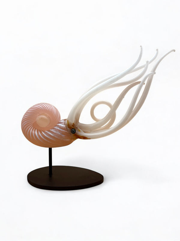 Nautilus