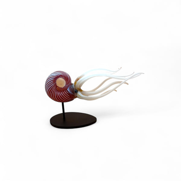 Nautilus